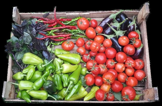 A wooden harvest crate filled with tomatoes, peppers, aubergines and fresh herbs